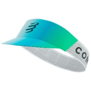 Panel Racing Visor - star white/blue-green